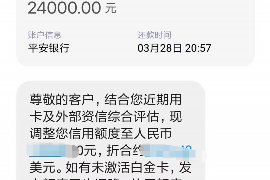 嫩江嫩江专业催债公司的催债流程和方法